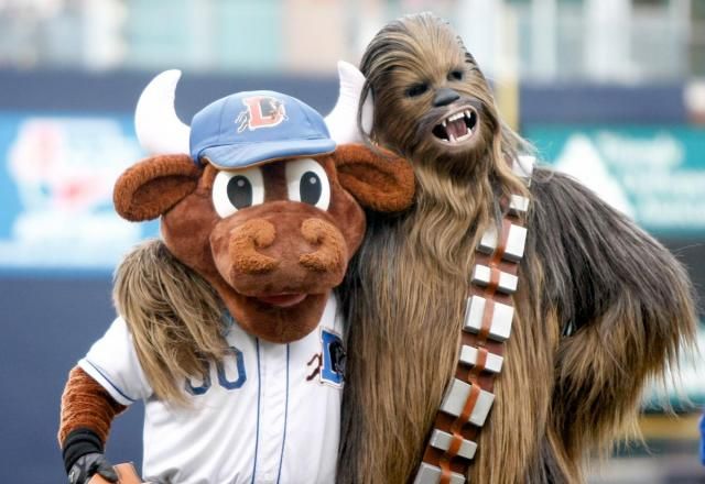 Bulls down Pawsox