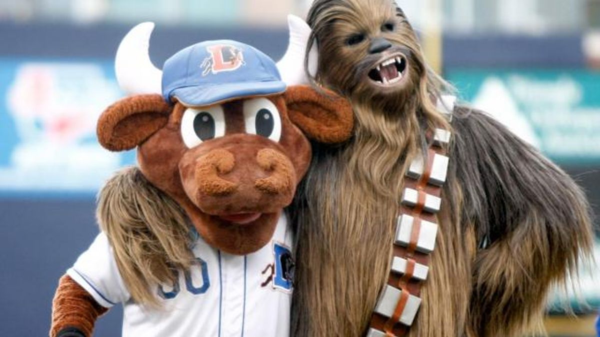 Bulls down Pawsox