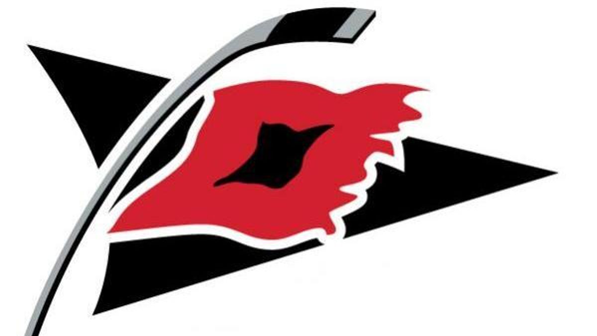 Carolina Hurricanes secondary logo
