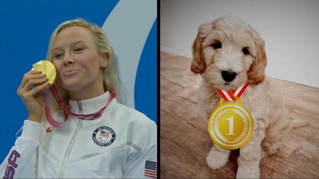 Pets part of the home team cheering on Olypmic athletes