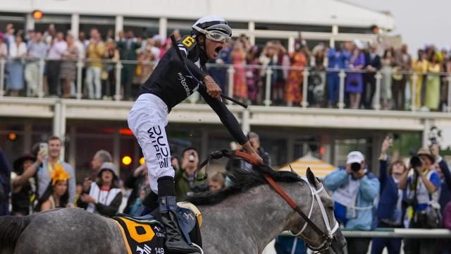 Jaime Torres, atop Seize The Grey, reacts after crossing the finish line to win the Preakness Stakes horse race at Pimlico Race Course, Saturday, May 18, 2024, in Baltimore. (AP Photo/Julio Cortez)